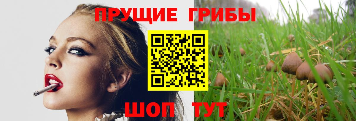 Псилоцибиновые грибы прущие грибы Химки